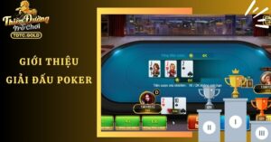 Giới thiệu chung về giải đấu Poker