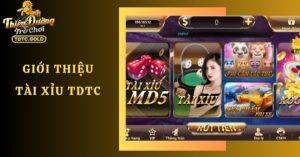 Tài Xỉu TDTC Có Gì Hấp Dẫn? Hướng Dẫn Cách Chơi Từ A - Z