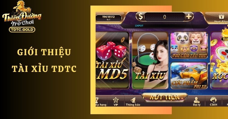 Tài Xỉu TDTC Có Gì Hấp Dẫn? Hướng Dẫn Cách Chơi Từ A - Z