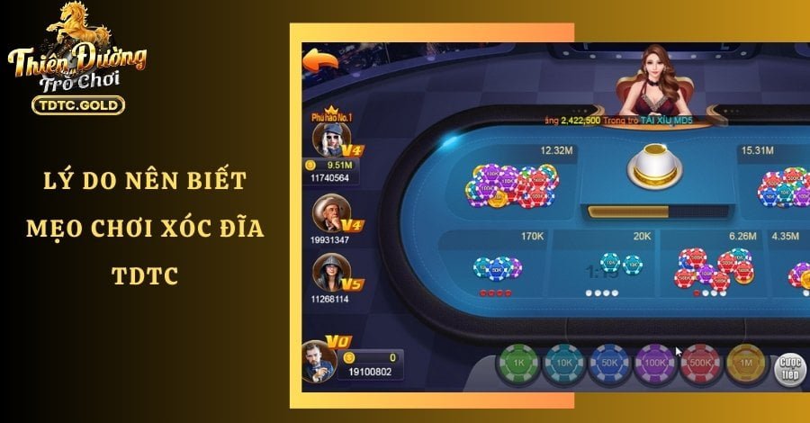 Bật Mí Top 7 Mẹo Chơi Xóc Đĩa TDTC Hiệu Quả Cho Tân Thủ
