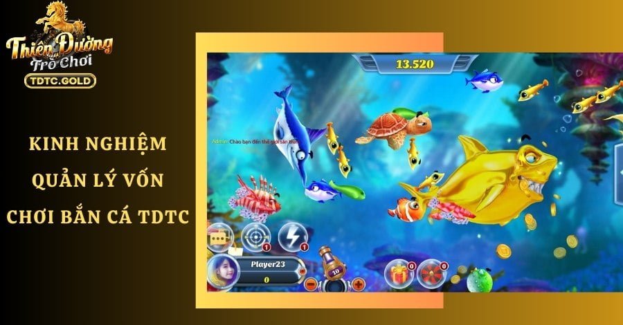Kinh nghiệm quản lý vốn khi chơi bắn cá TDTC