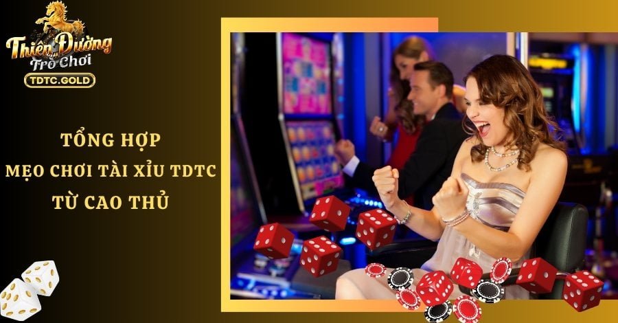 Mẹo Chơi Tài Xỉu TDTC - Tăng Tỷ Lệ Thắng Lên Gấp Đôi