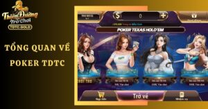 Poker TDTC - Hướng Dẫn Cách Chơi Từ A - Z Cho Tân Thủ